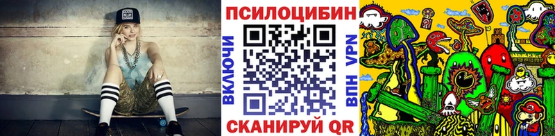закладка  Пущино  Псилоцибиновые грибы Psilocybe 